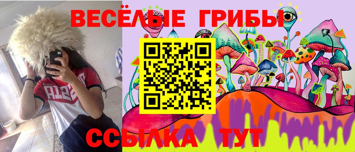 Галлюциногенные грибы мицелий  Псилоцибиновые грибы ЛСД  Назарово  Вход с VPN 
