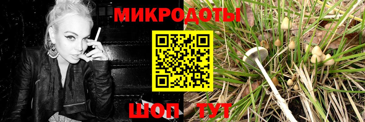Галлюциногенные грибы MAGIC MUSHROOMS Назарово